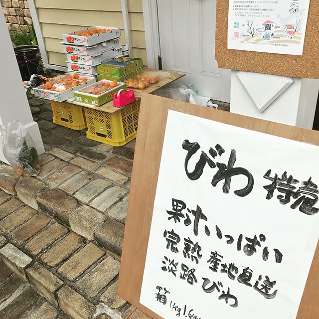 びわの販売のためパックを用意 完熟果汁いっぱい 淡路びわ8個500円 兵庫県加古川市