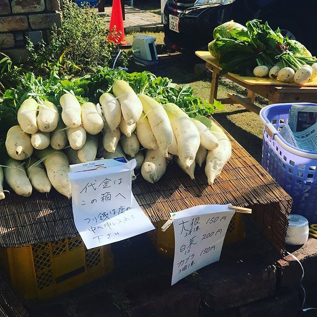 あさどれ野菜！父が栽培した野菜をマイスタ加古川の店頭で販売