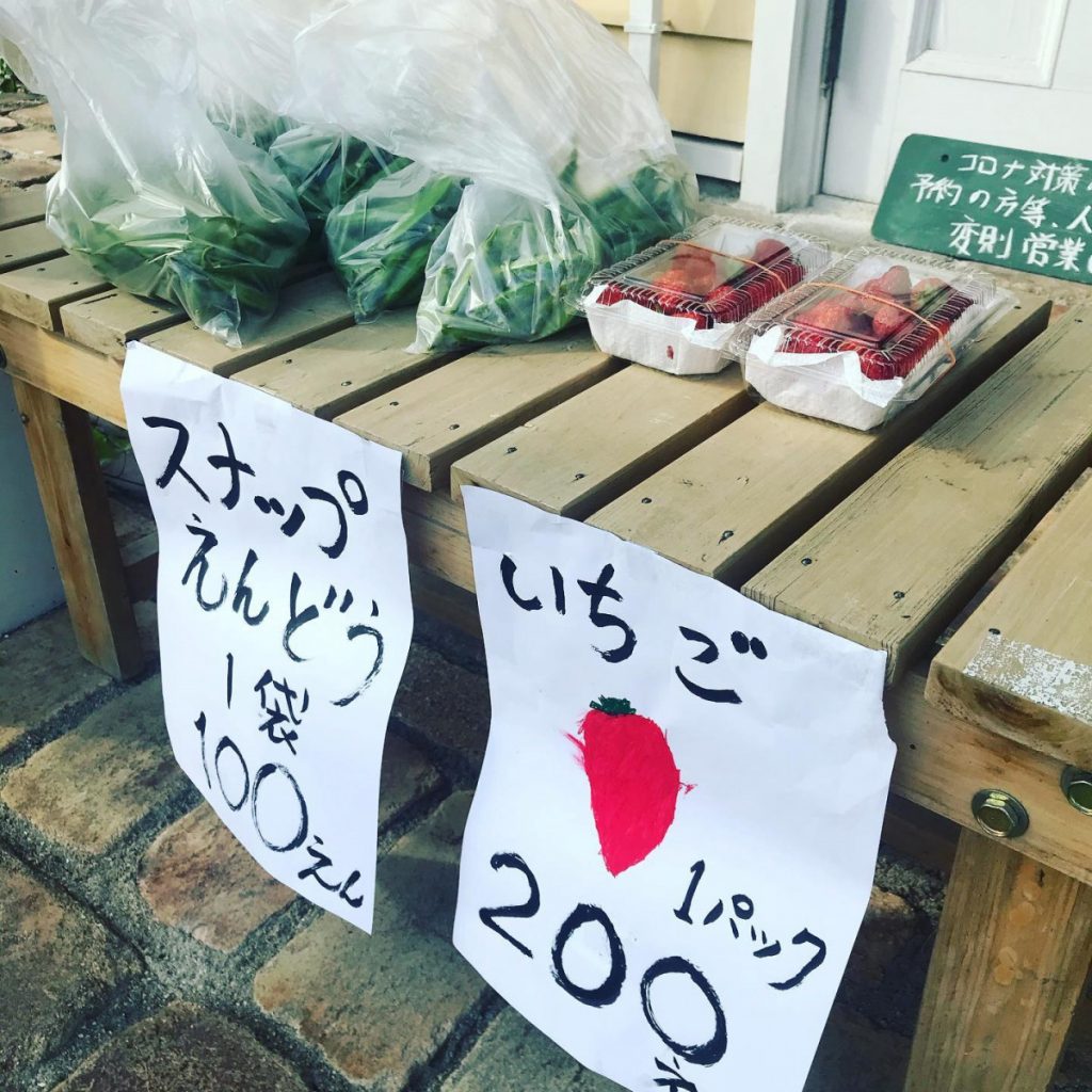 いちごとスナップえんどう即売2回目！野菜販売 果物販売 家庭菜園 兵庫県加古川市