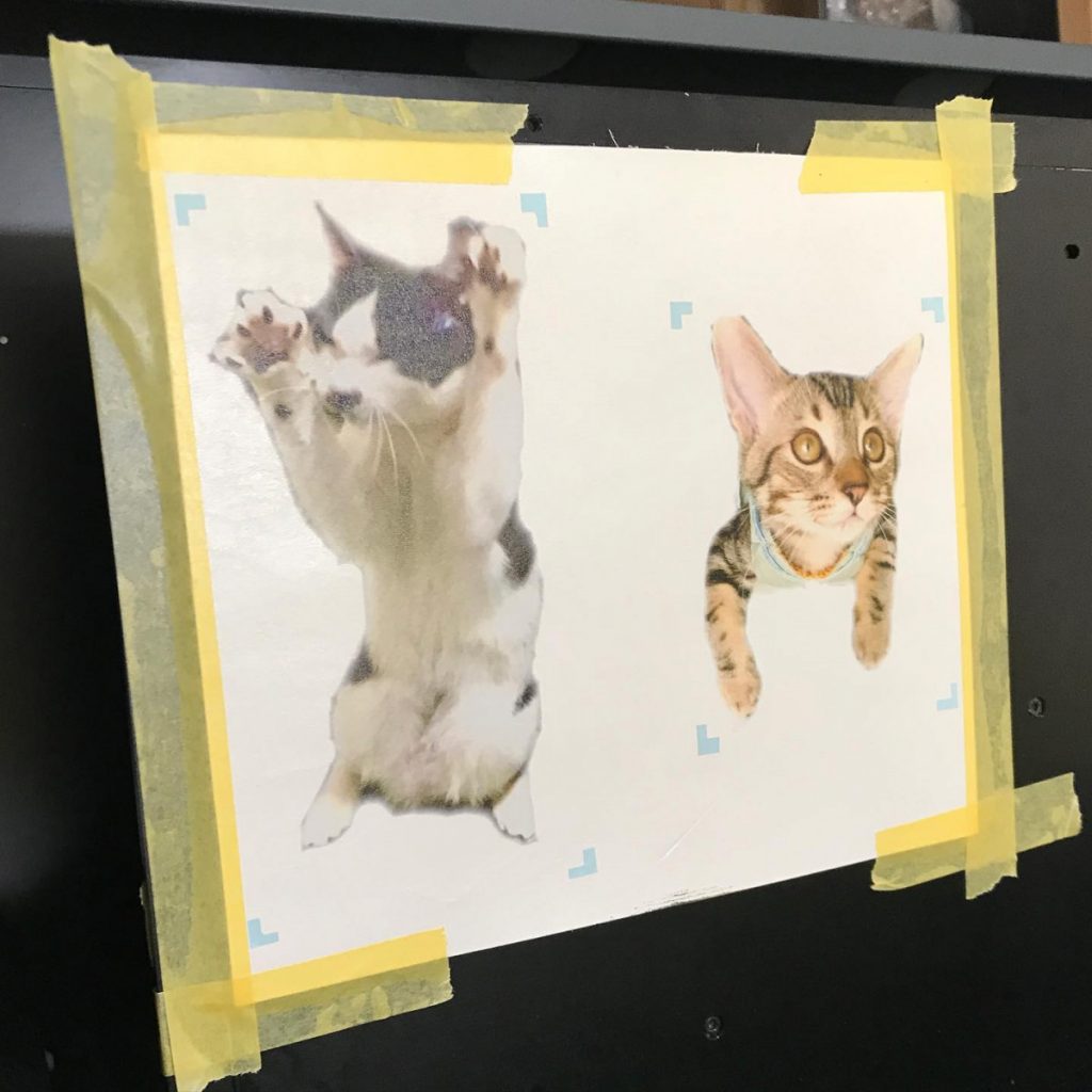 革印刷 猫ちゃんの写真を本革に印刷 ダイレクト印刷 ブライダルや赤ちゃんの記念グッズ 兵庫県加古川市