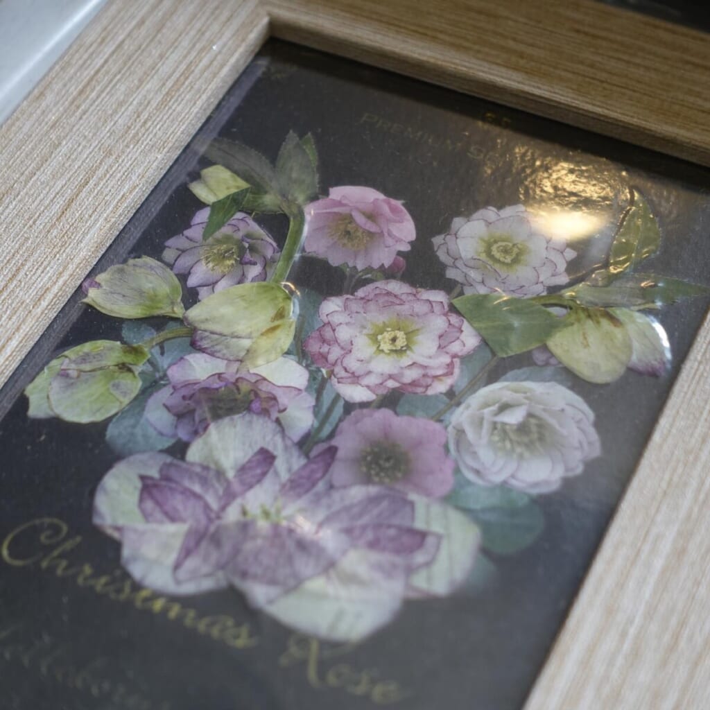 第17回ハンドメイド市2日目 @flower.mayu.mayu 印刷されているポストカードに、 同じお花の押し花を重ねてレイアウト