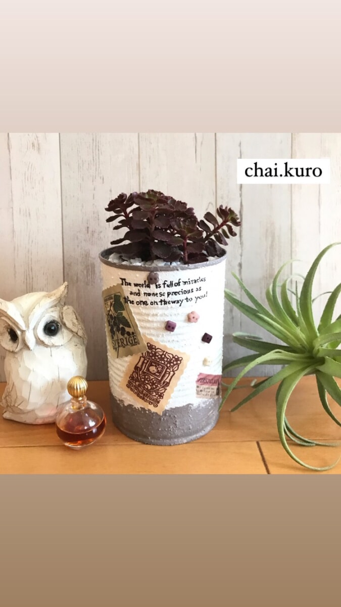 chai.kuro