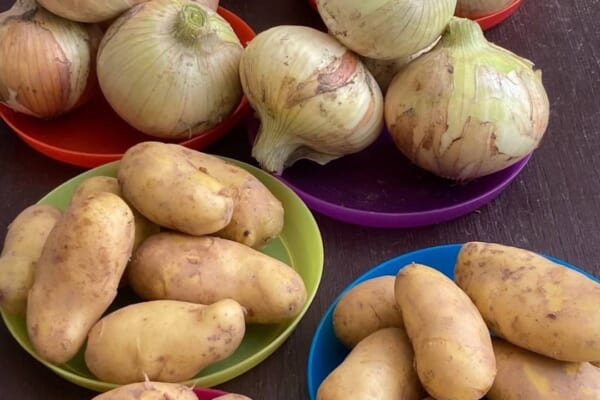 おとんの家庭菜園 じゃがいもと新玉ねぎの販売
