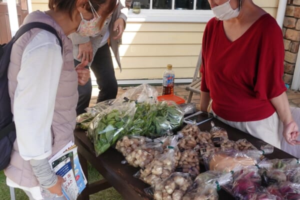 本日は、化学肥料を使わない野菜販売！ 兵庫県加古川市