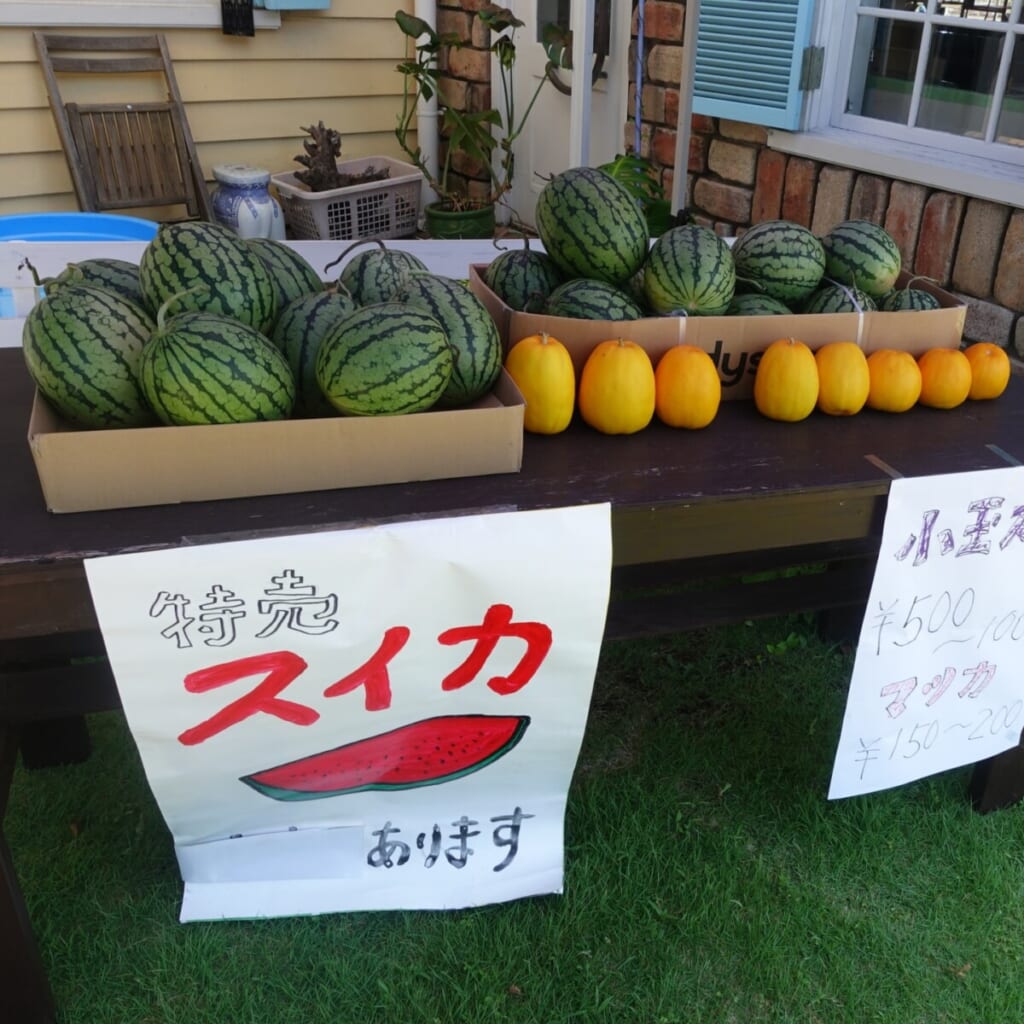 おやじの家庭菜園スイカとマクワウリ販売なう 兵庫県加古川市