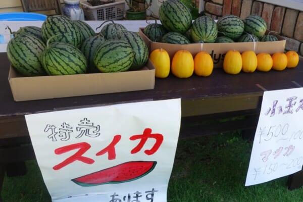 おやじの家庭菜園スイカとマクワウリ販売なう 兵庫県加古川市