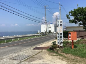 淡路びわ収穫＆買い付け