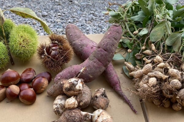 10/7(土)、8(日)第29回ハンドメイド市開催しますよ〜〜‍ 兵庫県加古川市