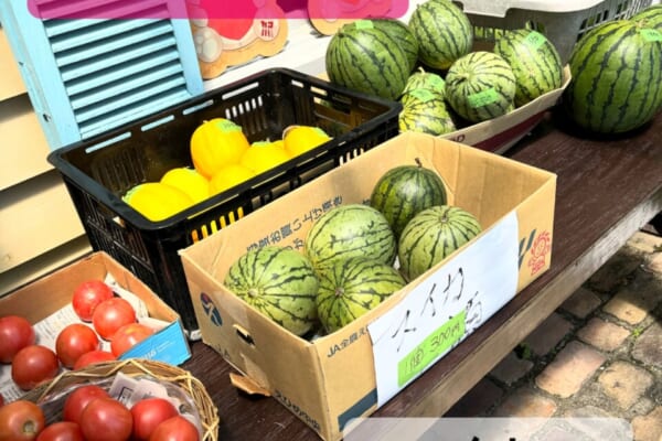 おやじの家庭菜園〜2024夏物語〜追加 兵庫県加古川市