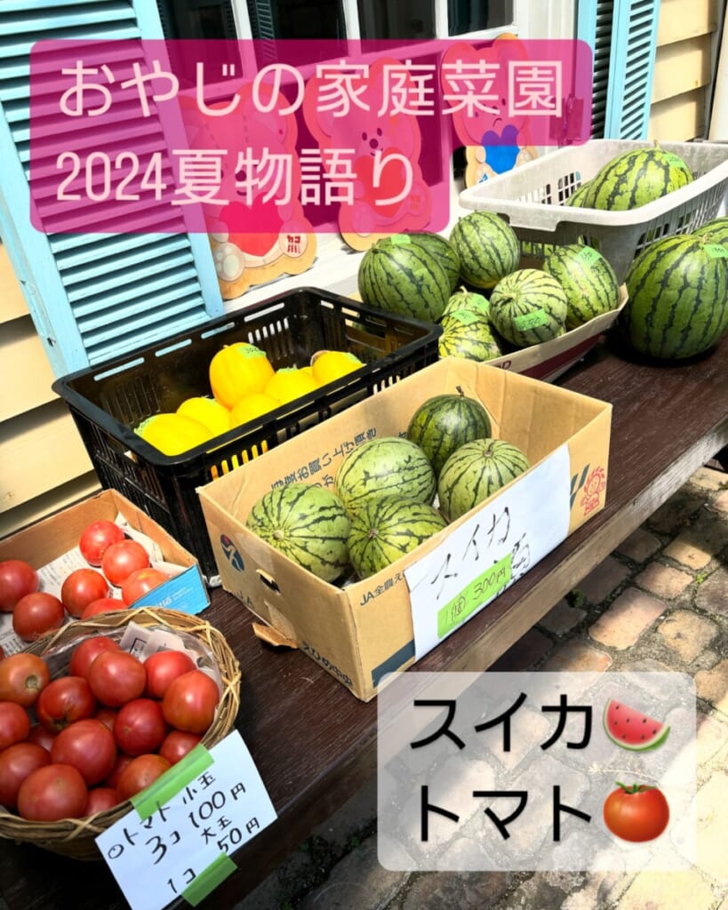 おやじの家庭菜園〜2024夏物語〜追加 兵庫県加古川市