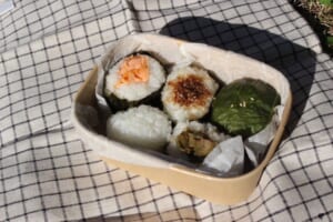 尾波梓