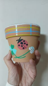 Origami　時々　Herbs